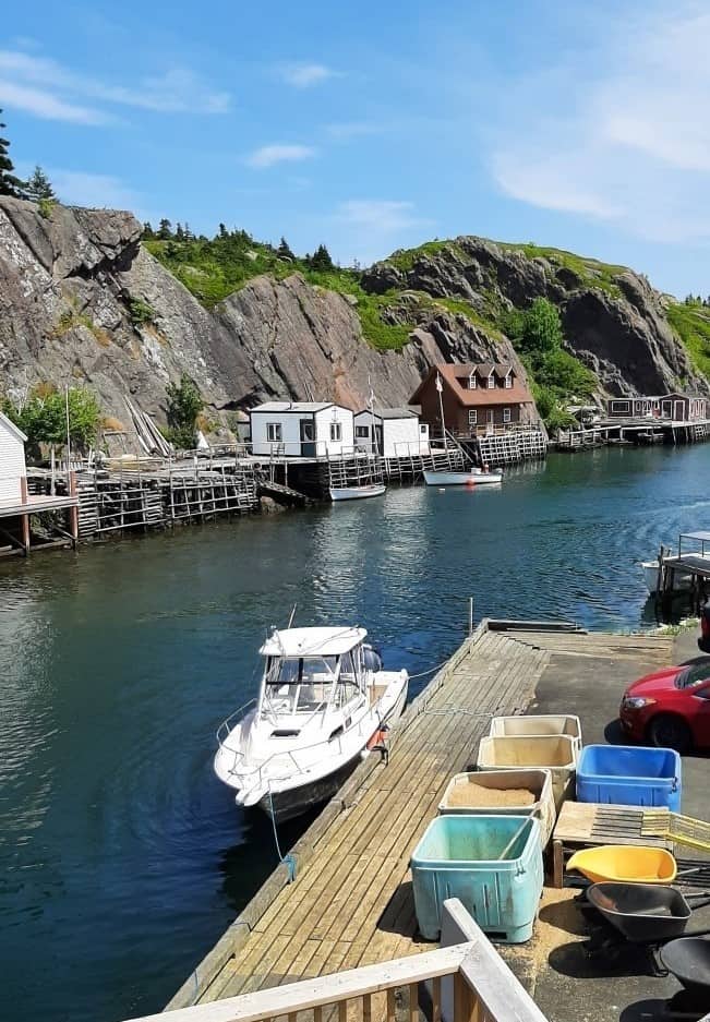 Quadi Vidi in St. John's, Newfoundland