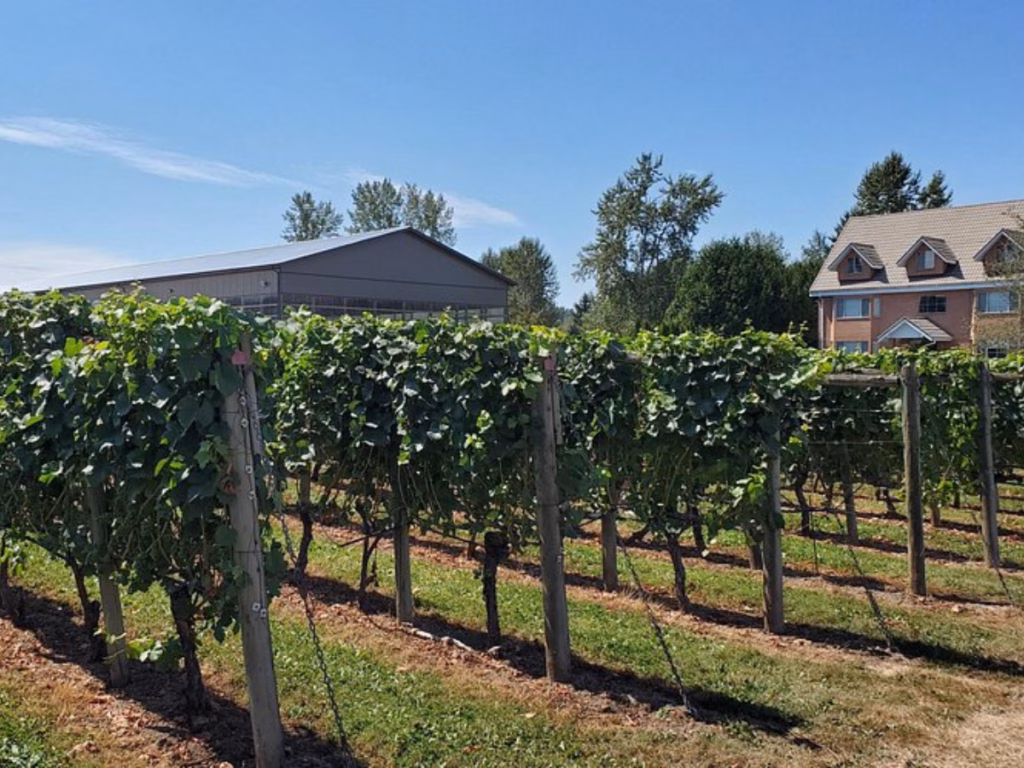 Fraser Valley Winery in BC