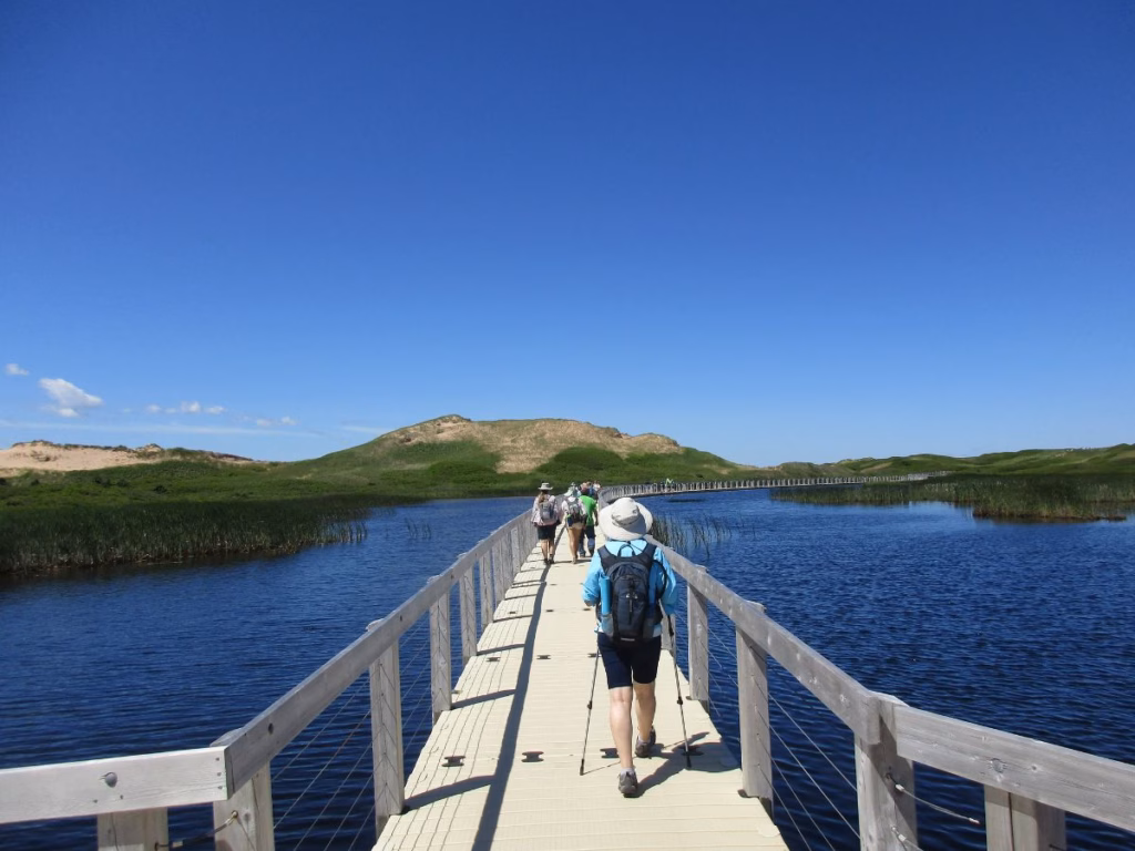 Greenwich Dunes Trail in Prince Edward Island National Park